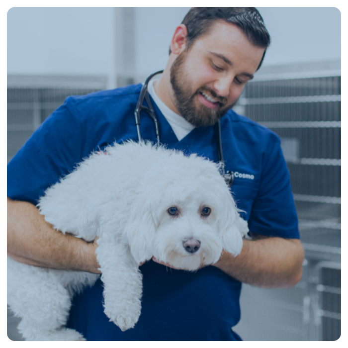 vet tech with dog